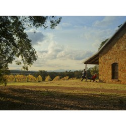 Shepherd’s Hut Wines